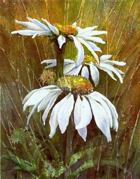 Watercolor of white coneflowers